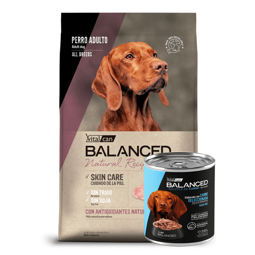 Balanced Natural Recipe Pollo Perro Ad