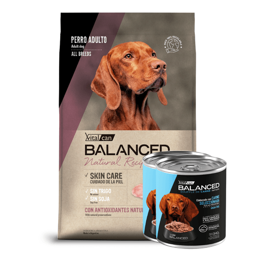 Balanced Natural Recipe Pollo Perro Ad