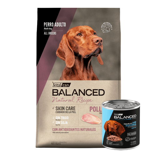 Balanced Natural Recipe Pollo Perro Ad