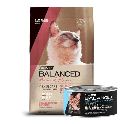 Alimento VitalCan Balanced Natural Recipe Salmón