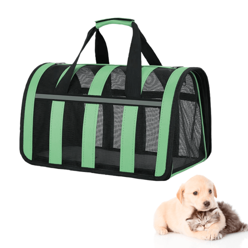 Bolso Beepaw Transportador Verde