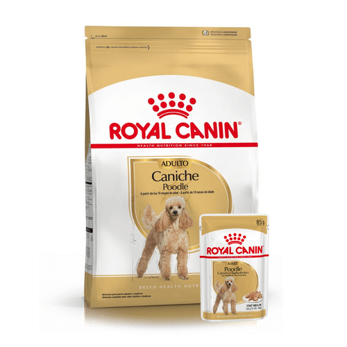 Alimento Royal Canin Caniche Adulto