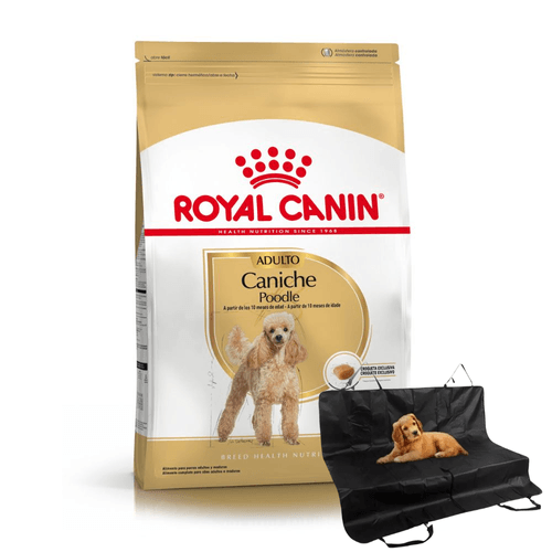 Alimento Royal Canin Caniche Adulto