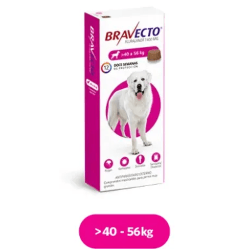 Antipulgas Y Garrapatas Bravecto Para Perros