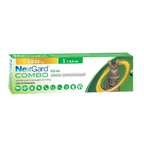 Nexgard Pipeta Gato