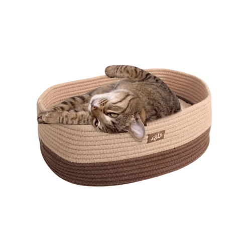 Cama Cuerda Tejida AFP Gato