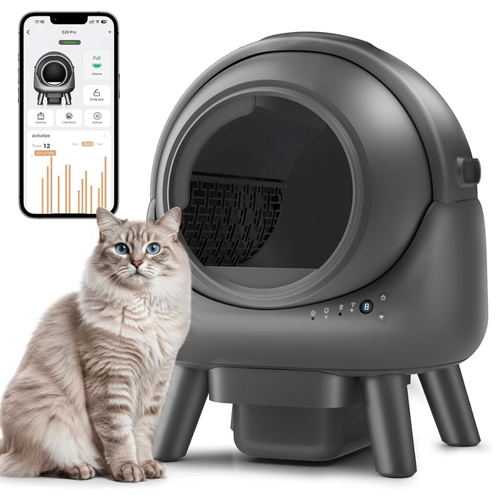 Litera Inteligente Beepaw Automatica Rock-E Gris