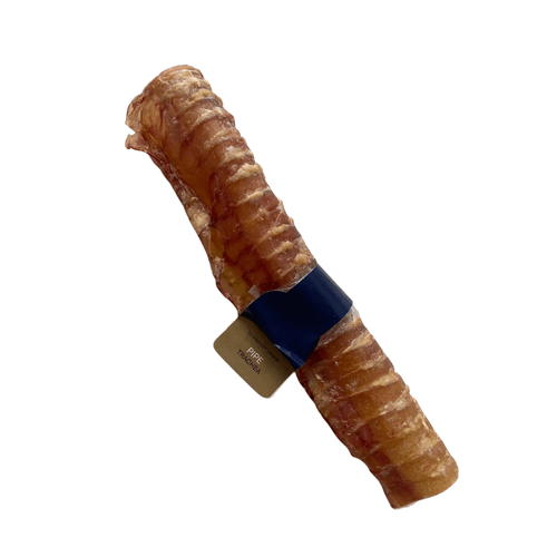 Snack Bruler Traquea Tubo Largo