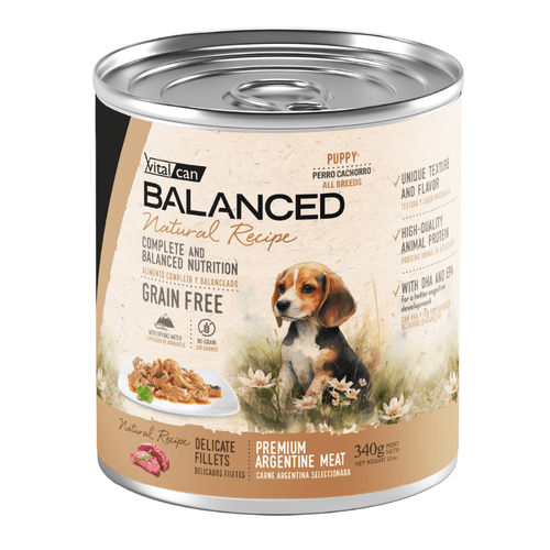 Lata Balanced Natural Recipe Carne Perro Cachorro