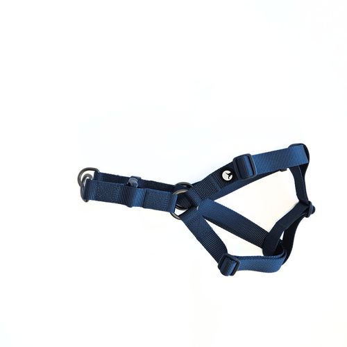Arnes Puppis Nylon Azul