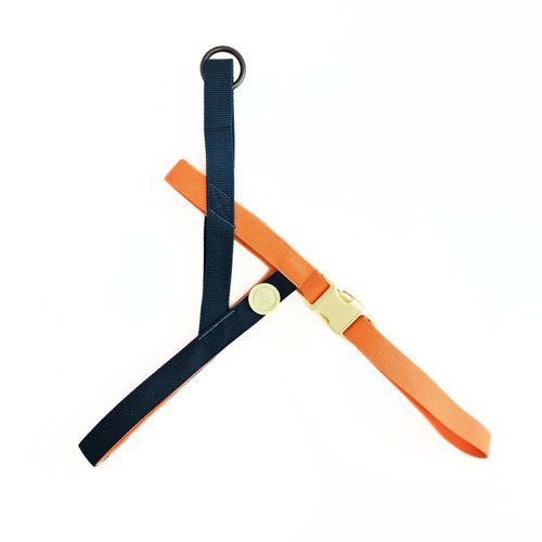 Arnes Puppis Anti tiron  Teal Dominion