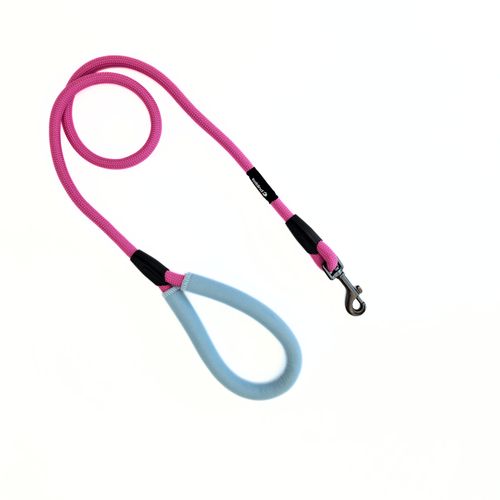 Correa Soga Puppis Magenta