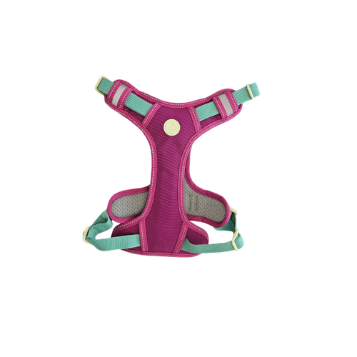 Arnes Puppis Magenta Poly