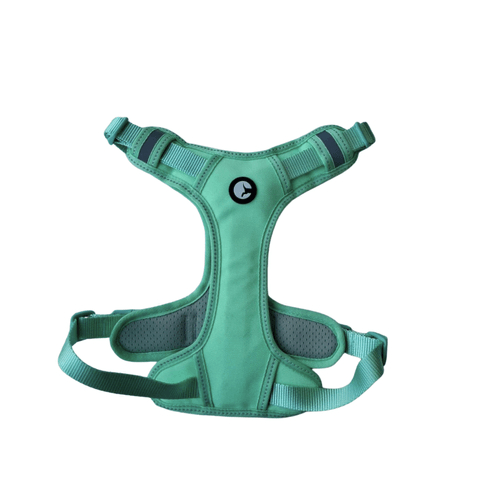 Arnes Puppis Pech Nylon Aqua