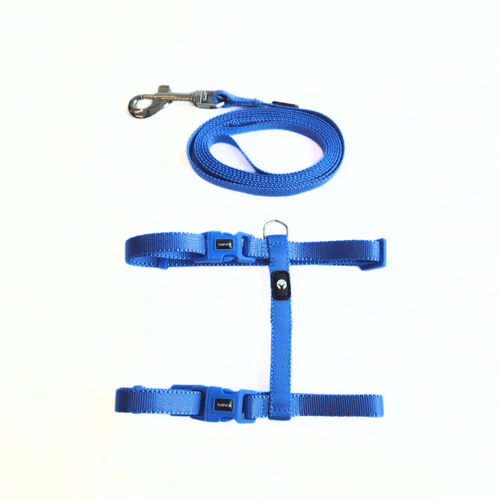 Kit Arnes y Correa Puppis Nylon Azul