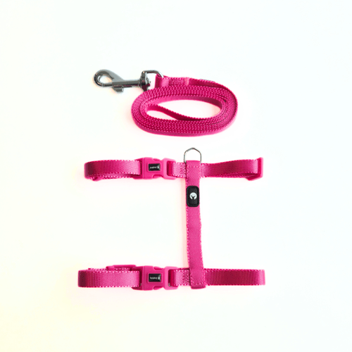 Kit Arnes y Correa Puppis Nylon Fuscia