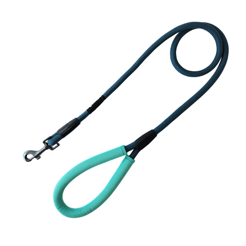 Correa Soga Puppis Teal Dominion