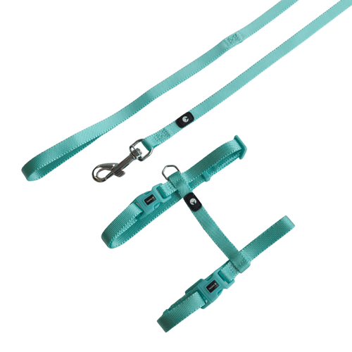 Kit Arnes y Correa Puppis Nylon Aqua