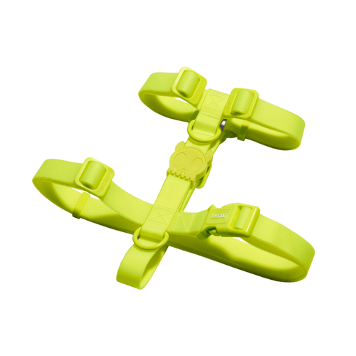 Arnes Zeedog Neopro Lime