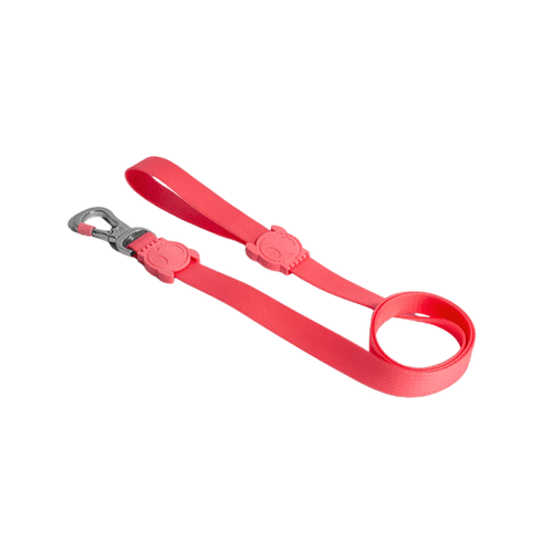 Correa Zeedog Neopro Bubblegum