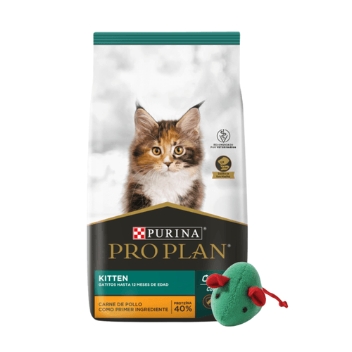 Alimento Pro Plan Gato Kitten - 3 Kg