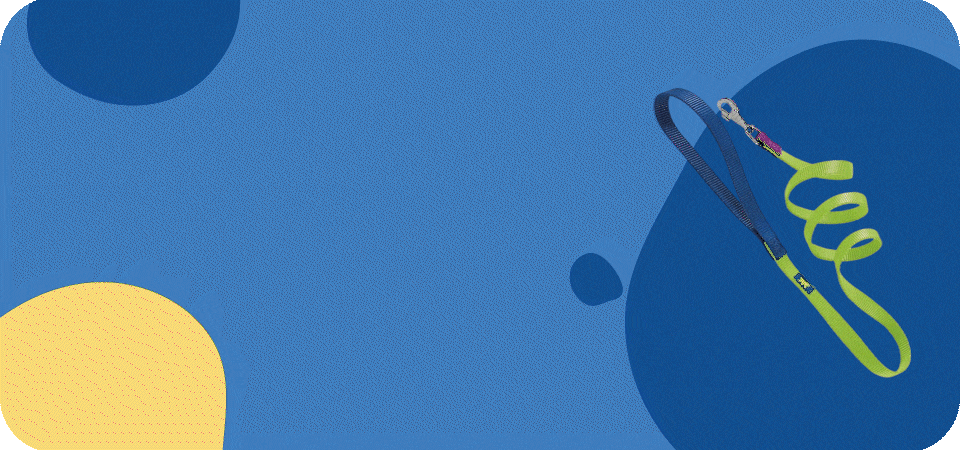 Banner second