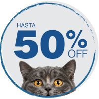 Ofertas Gato Hasta 30% Off hotsale