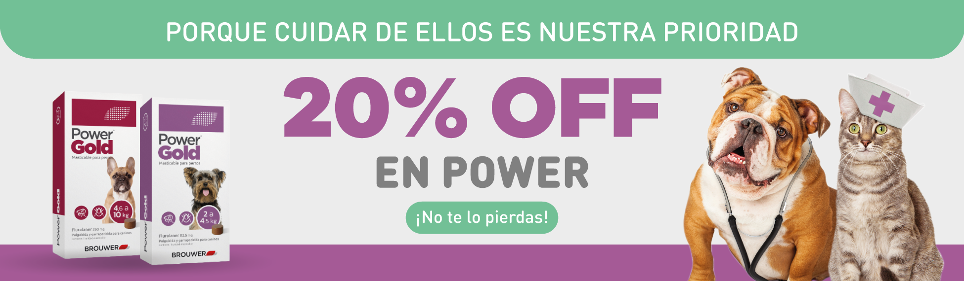 Power 20%