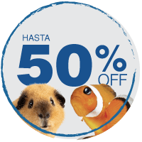  Hot Sale