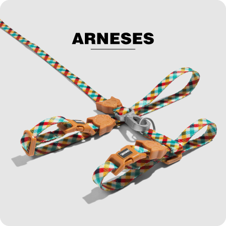 First banner