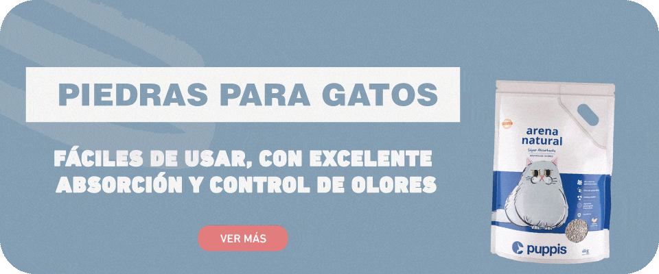 Banner first