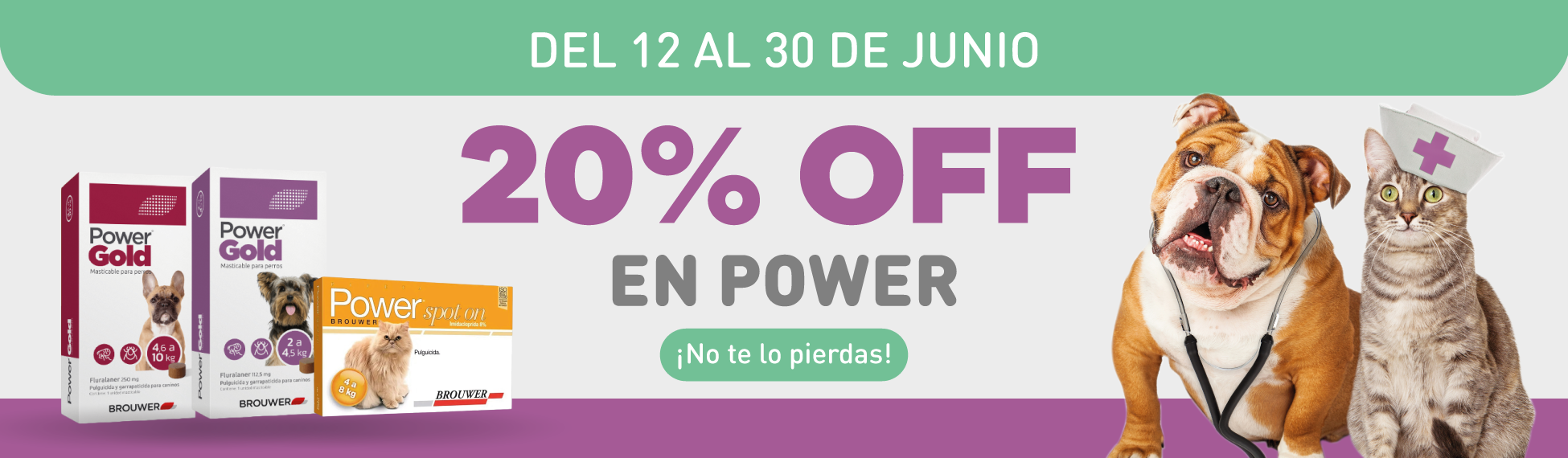 Power 20%