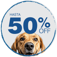 Ofertas Perro Hasta 40% Off hotsale