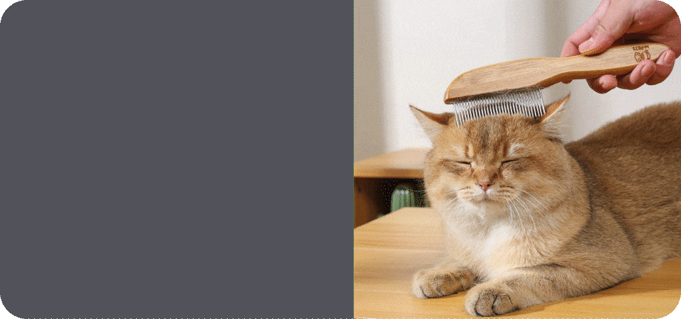Banner second