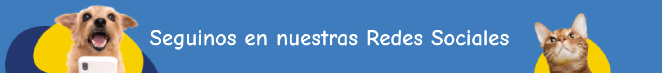 /banner-redes