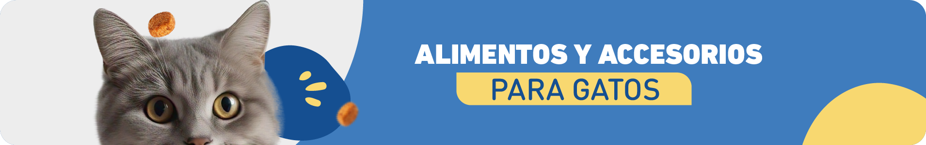 Alimentos y accesorios para gatos